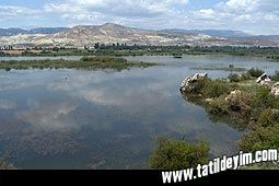  Nallhan Ku Cenneti

Fotoraf: Bumin Ergenekon
Tarih: 24 Haziran 2005