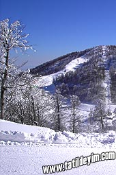  Kartepe

Fotoraf: Cemil Belgcan
Tarih: 29 OCAK 2006