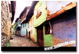  Cumalıkızık Sokakları

Fotoğraf: Gökhan Önal
Tarih: 12 AĞUSTOS 2000